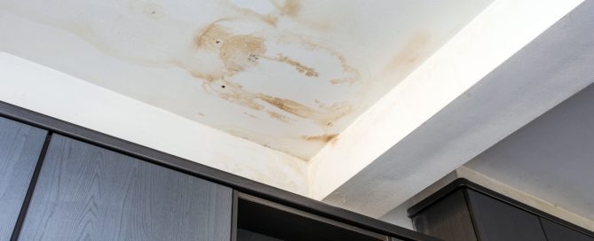 water-stain-ceiling-winnipeg-home