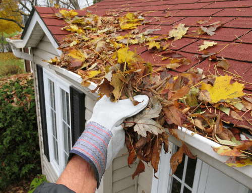 Fall Home Maintenance Checklist for Winnipeg Homes: Roof, Siding, Gutters, and More