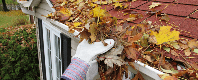 Gloved hand clearing fall leaves from a clogged gutter before winter in Winnipeg