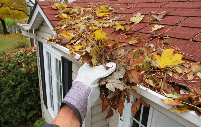 Gloved hand clearing fall leaves from a clogged gutter before winter in Winnipeg